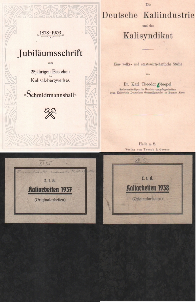 Bergbau. Kali. Stoepel, Karl Th. Die Deutsche Kali Industire und das Kalisyndikat. Eine volks- und