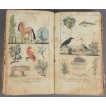 „Lehrbuch“ mit zahlreichen colorierten Tierkupfern, o.O., o.J. (wohl um 1806). (besch.)