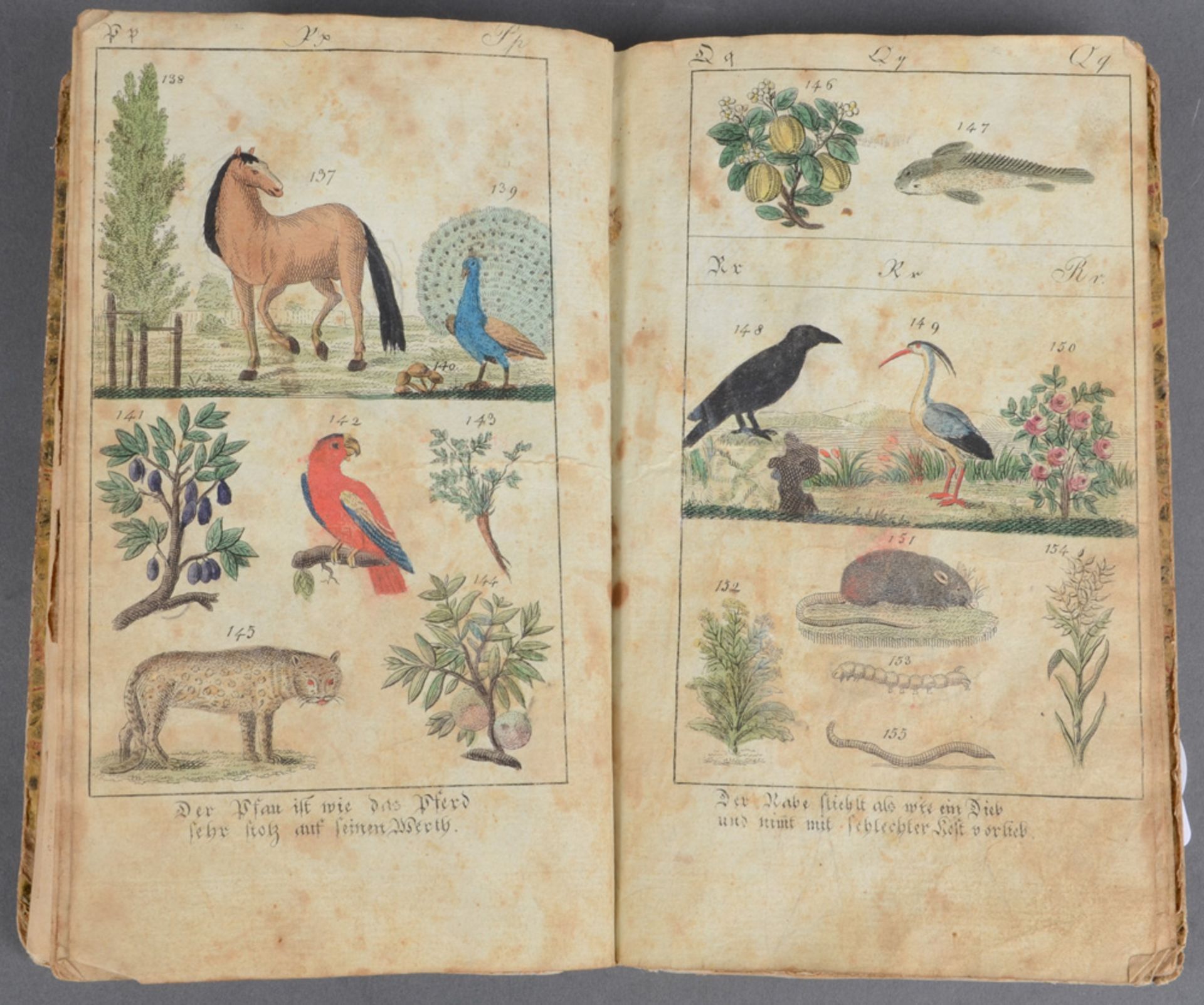 „Lehrbuch“ mit zahlreichen colorierten Tierkupfern, o.O., o.J. (wohl um 1806). (besch.)