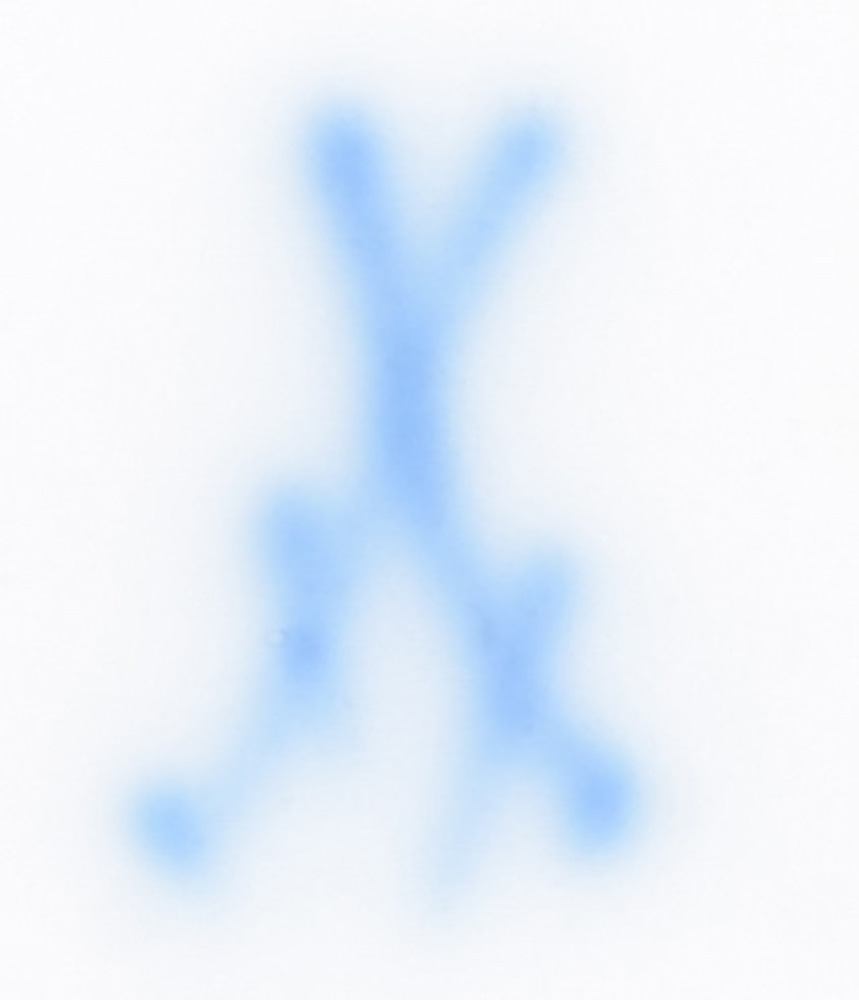 Trembleuse mit Unterschale. Meissen 19. Jh. Porzellan, mit kobaltblauem Fond, Goldspitzenbordüren - Image 3 of 15