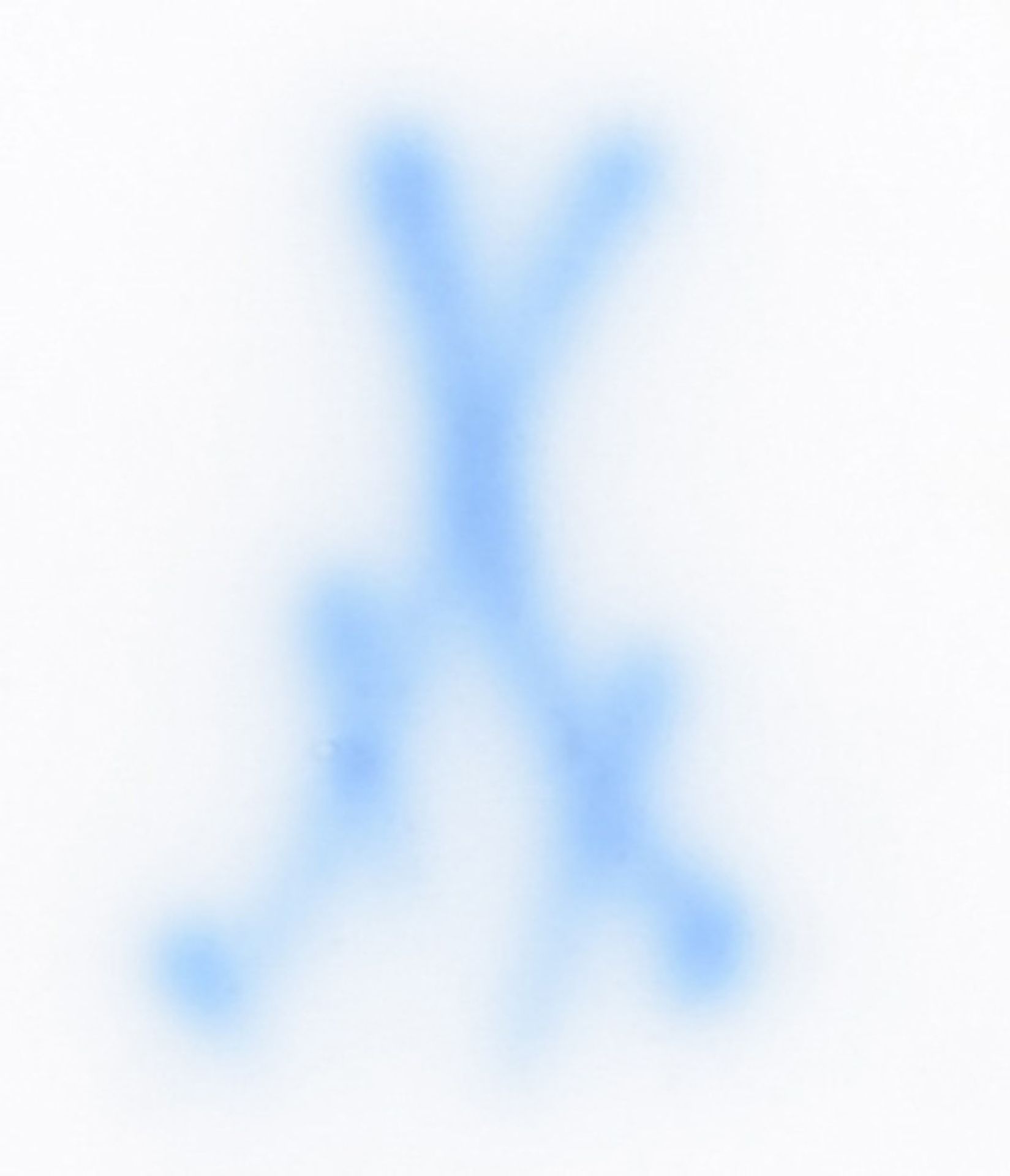 Trembleuse mit Unterschale. Meissen 19. Jh. Porzellan, mit kobaltblauem Fond, Goldspitzenbordüren - Bild 3 aus 15