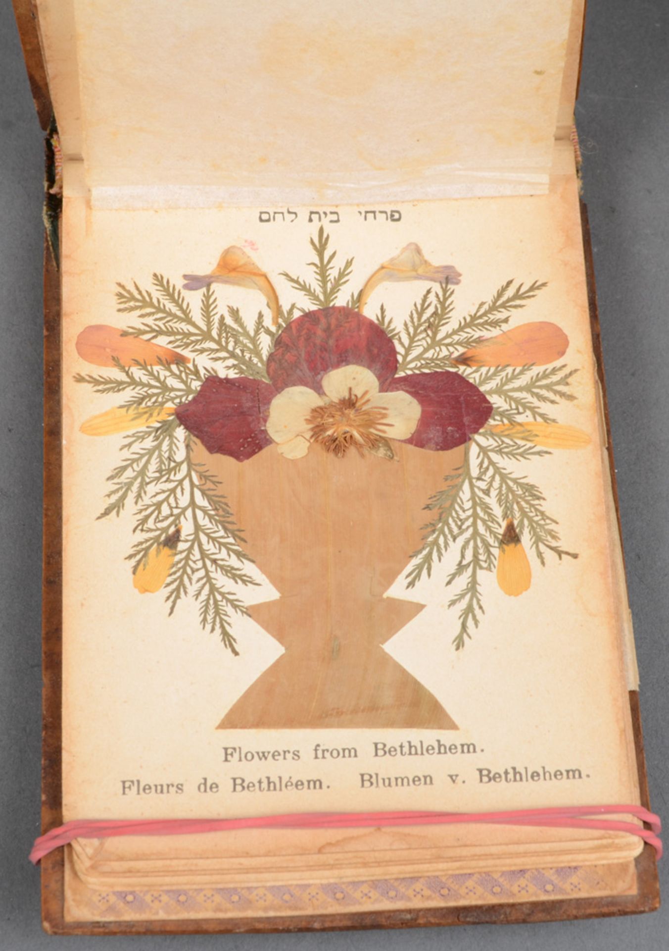 „Flowers from the Holy Land“. Album, wohl um 1900, mit gepressten Blumen und Holzumband, beschriftet - Bild 3 aus 5