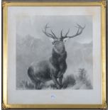 Sir Edwin Henry Landseer (1802-1873). „The monarch of the Glen“. Stahlstich, li./u./sign., hi./Gl.