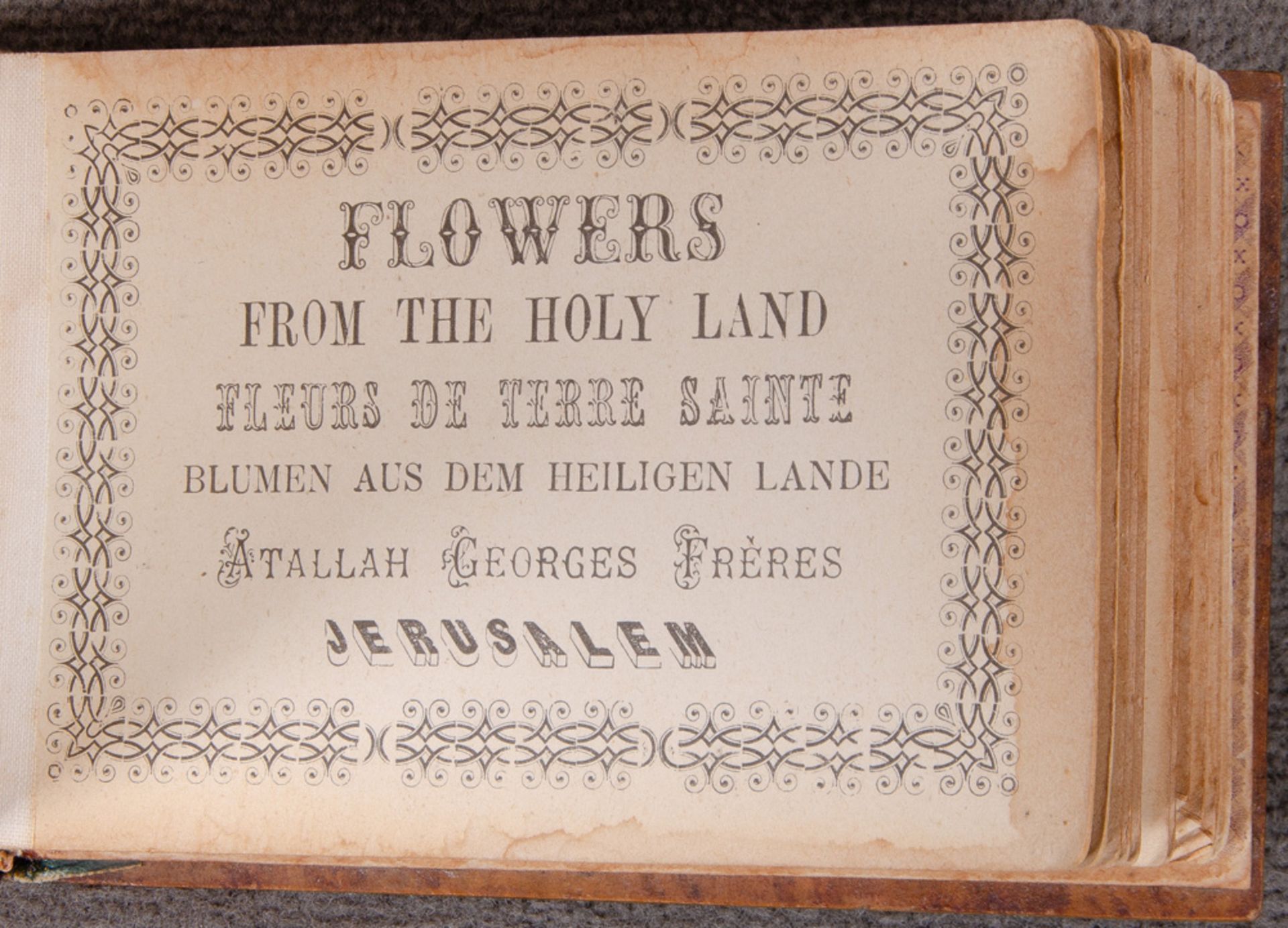 „Flowers from the Holy Land“. Album, wohl um 1900, mit gepressten Blumen und Holzumband, beschriftet - Image 2 of 5
