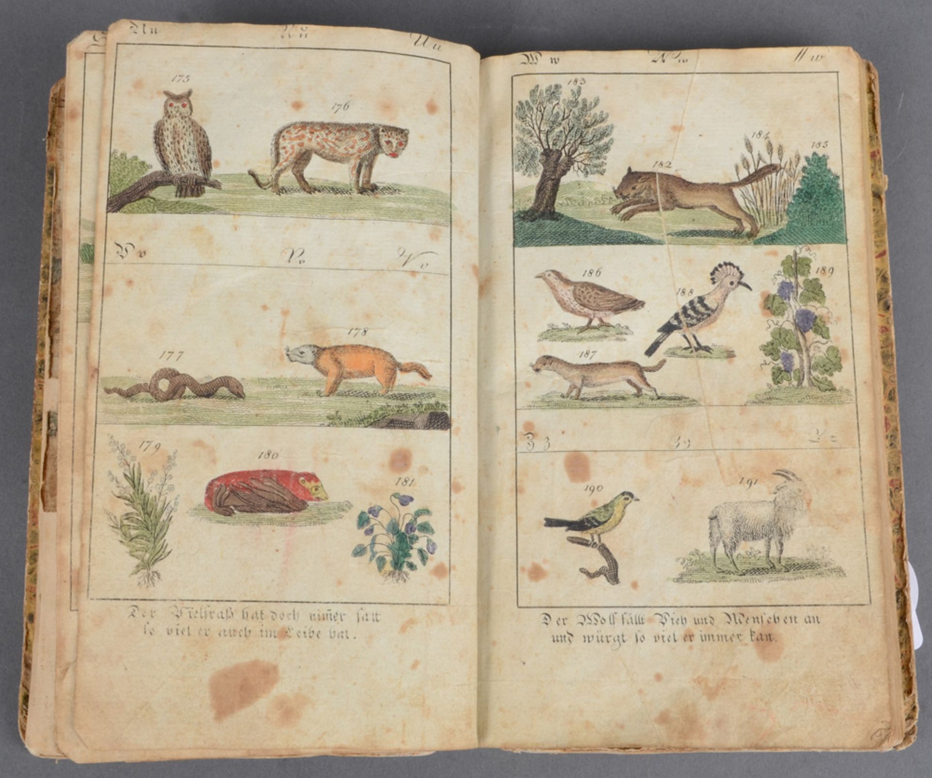 „Lehrbuch“ mit zahlreichen colorierten Tierkupfern, o.O., o.J. (wohl um 1806). (besch.) - Image 3 of 4
