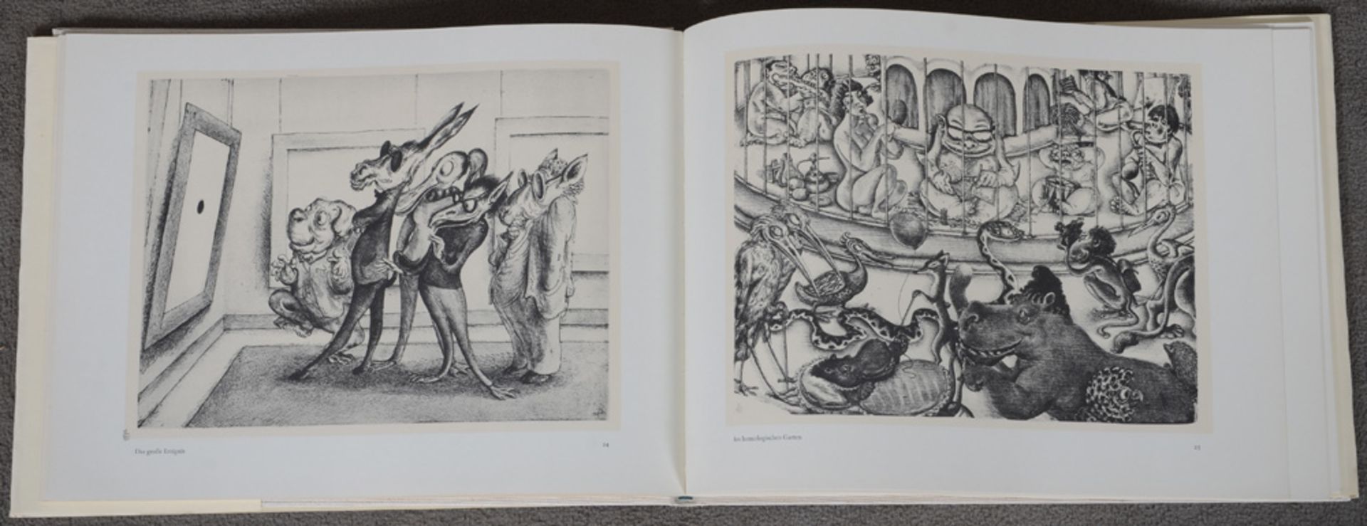 A. Paul Weber „Tierbilderbuch“, mit 52 Abbildungen nach Lithographien, Hoffmann und Campe, Hamburg - Image 4 of 6