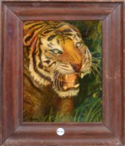 S. Hug (Maler des 20. Jhs.). Tigerkopf. Öl/Lw., li./u./bez., gerahmt, 45 x 35 cm.