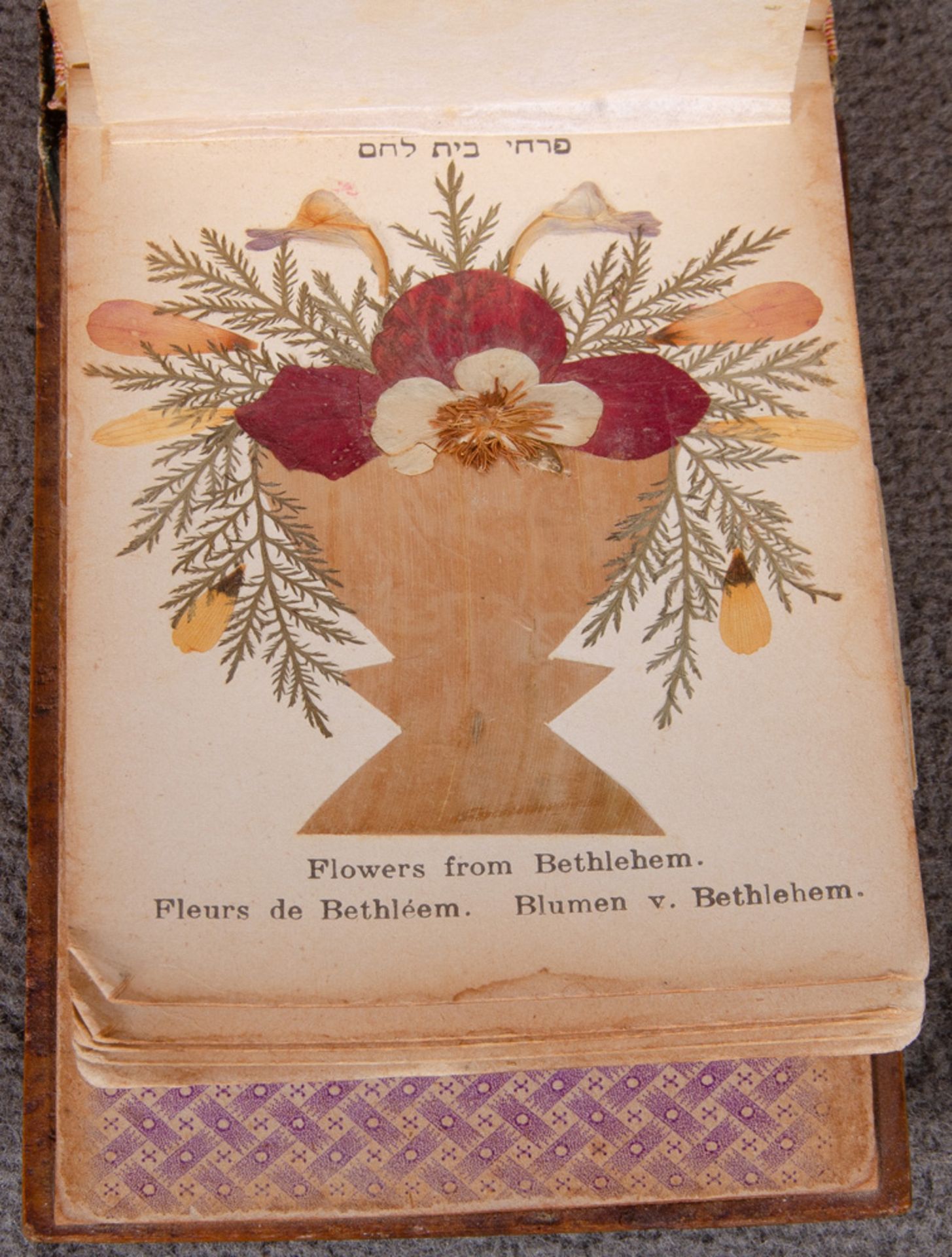 „Flowers from the Holy Land“. Album, wohl um 1900, mit gepressten Blumen und Holzumband, beschriftet - Image 4 of 5