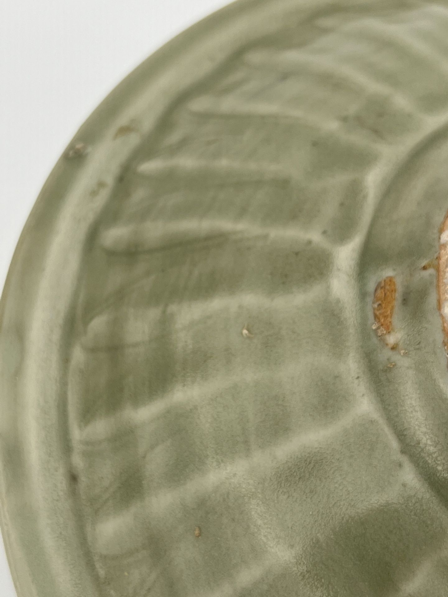 A Chinese celadon waterpot, 16TH/17TH Century Pr.  - Image 8 of 9