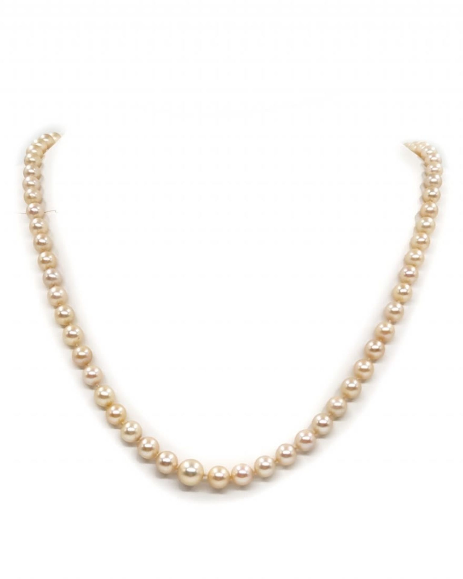 An antique pearl necklace from the 1920s, interwoven with sea pearls of different sizes, a bracket - Bild 2 aus 6