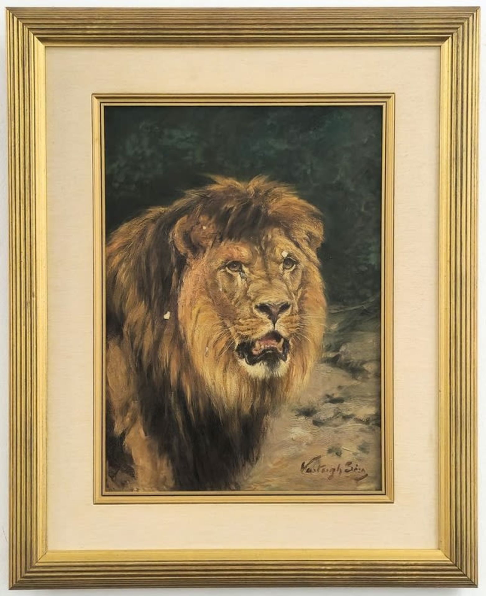 'Lion' - Géza Vastagh, oil painting on canvas, (Hungarian painter, Géza Vastagh, lived between the