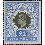 Natal. 1902-08 Mainly mint selection including 1902 £1, 1908-09 10/-, also £10 (creased) expertly