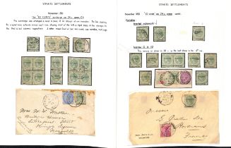 1891 (Nov) 10c and 30c Surcharges, study on pages with 10c on 24c mint pane of sixty including