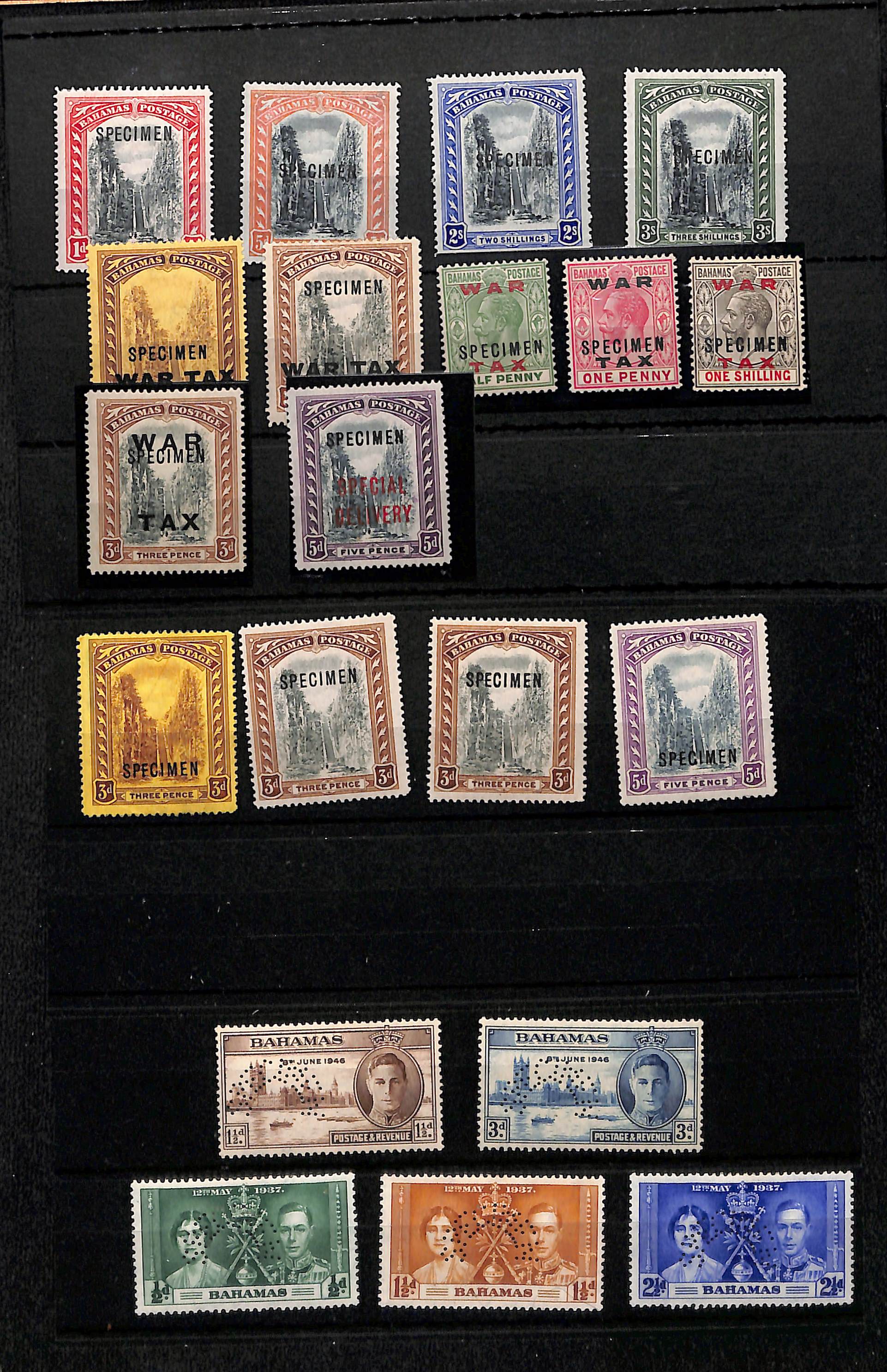 1901-46 Specimen stamps including 1901-03 set of four, 1919 (Mar 21) 3d War Tax overprint, 1919 (