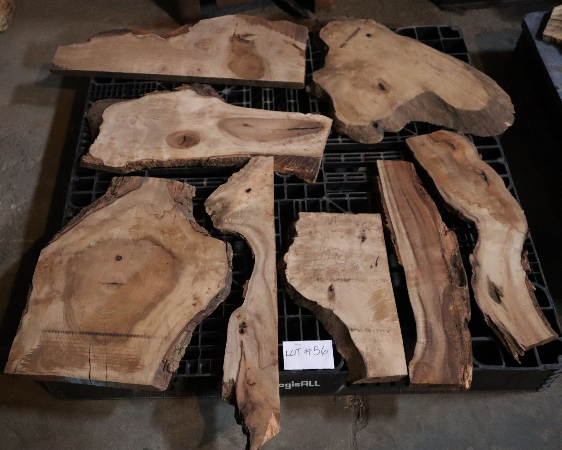8 - Myrtle Wood Slabs