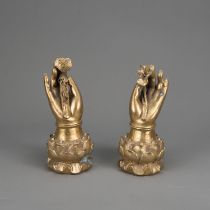 Two Hands of Buddha