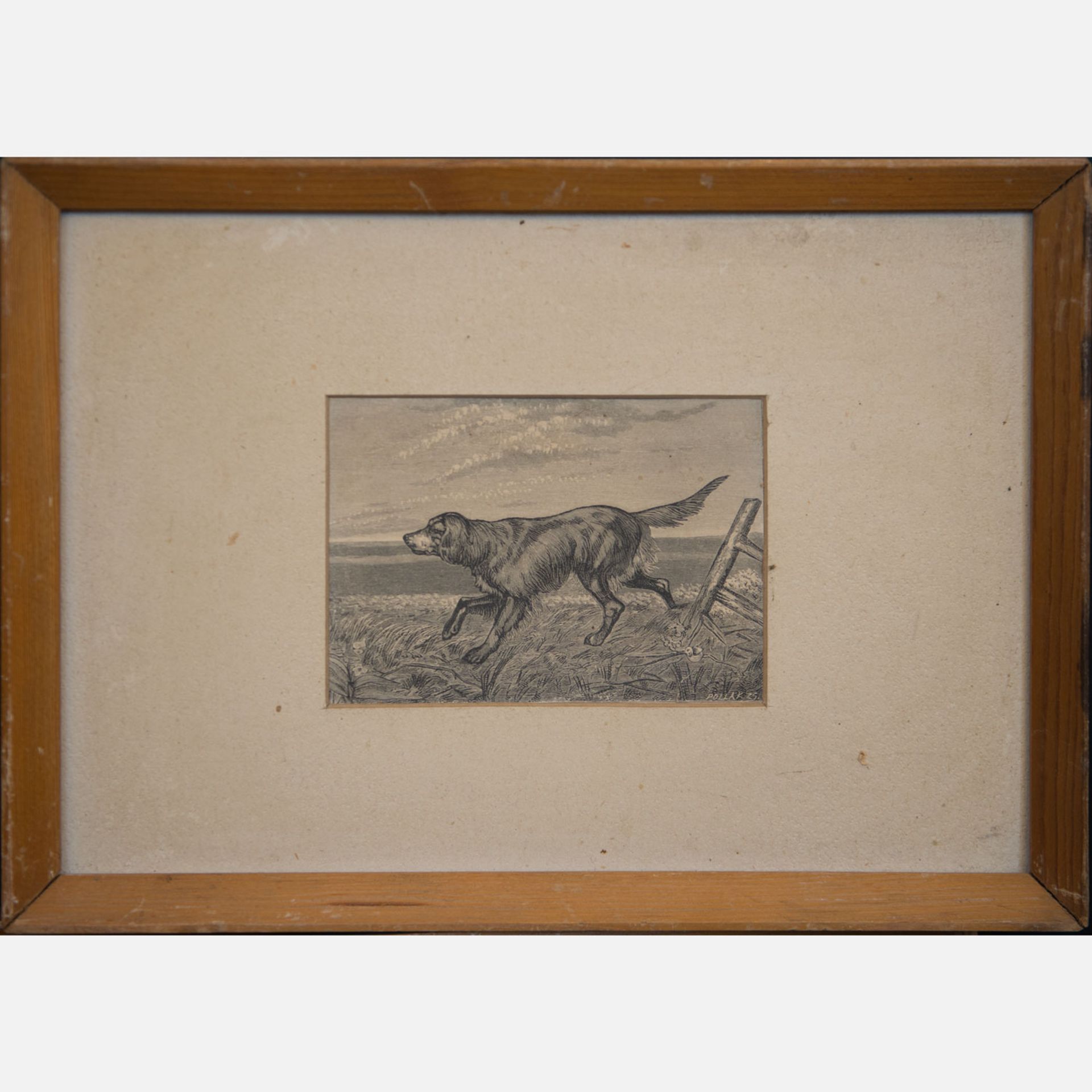 Pollak Collection of 16 Dog Lithographies - Bild 3 aus 3