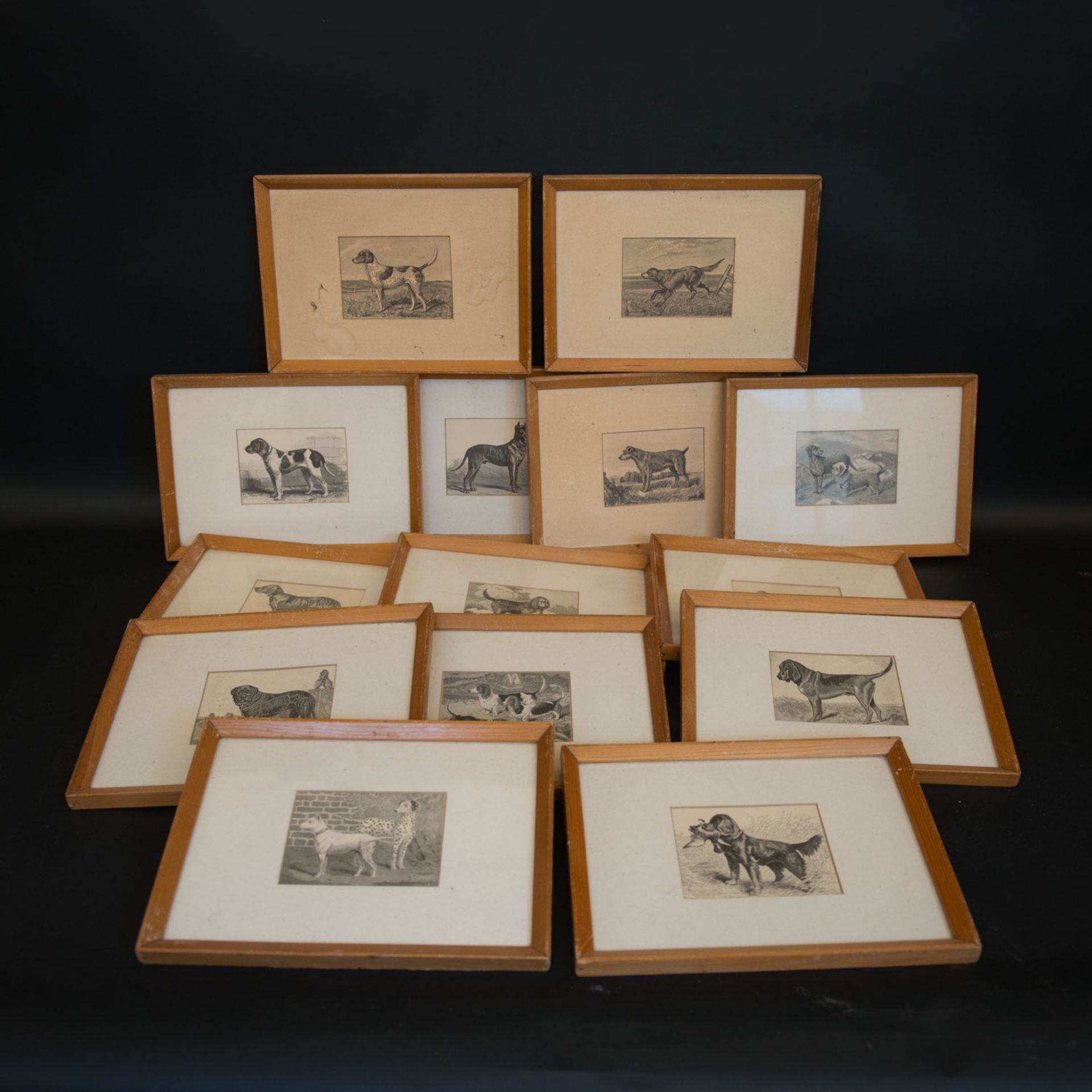 Pollak Collection of 16 Dog Lithographies