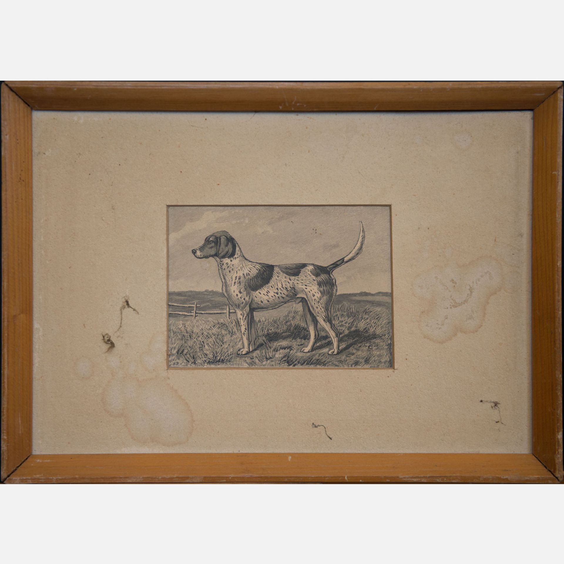 Pollak Collection of 16 Dog Lithographies - Bild 2 aus 3