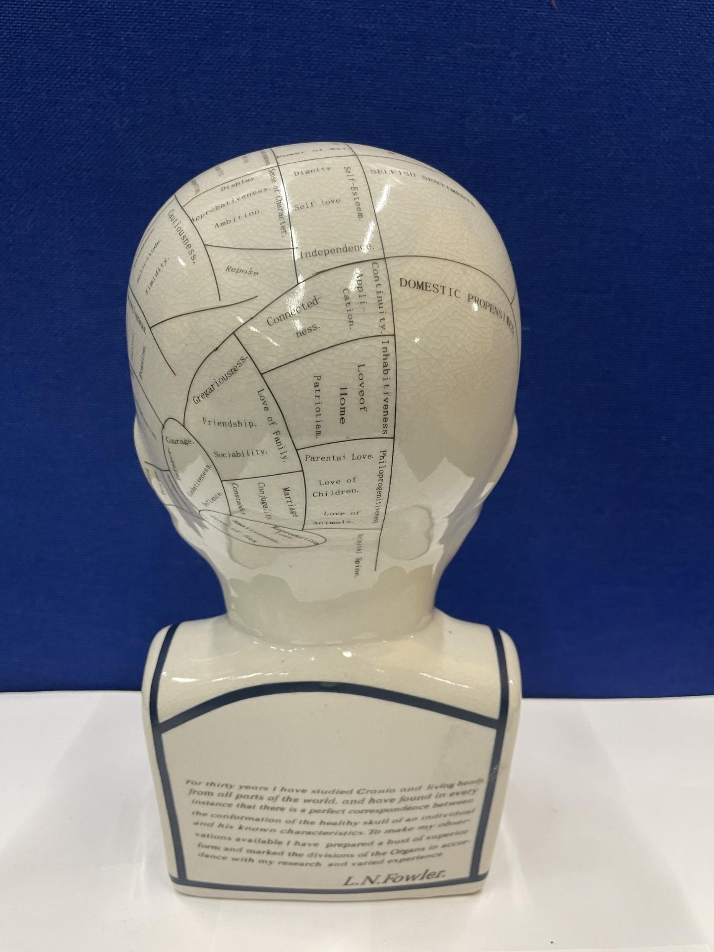A PHRENOLOGY HEAD BY L N FOWLER - Image 4 of 5