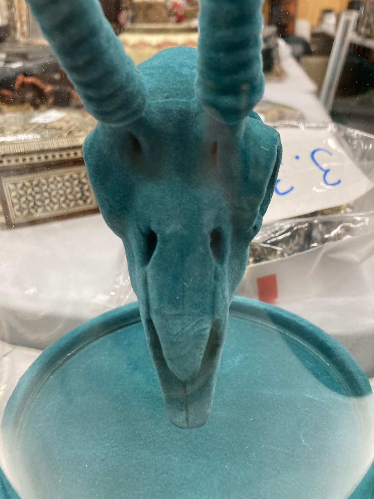 A TURQUOISE ANIMAL SKULL IN A GLASS DOME - Image 2 of 4