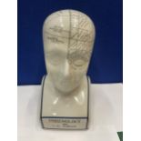 A PHRENOLOGY HEAD BY L N FOWLER