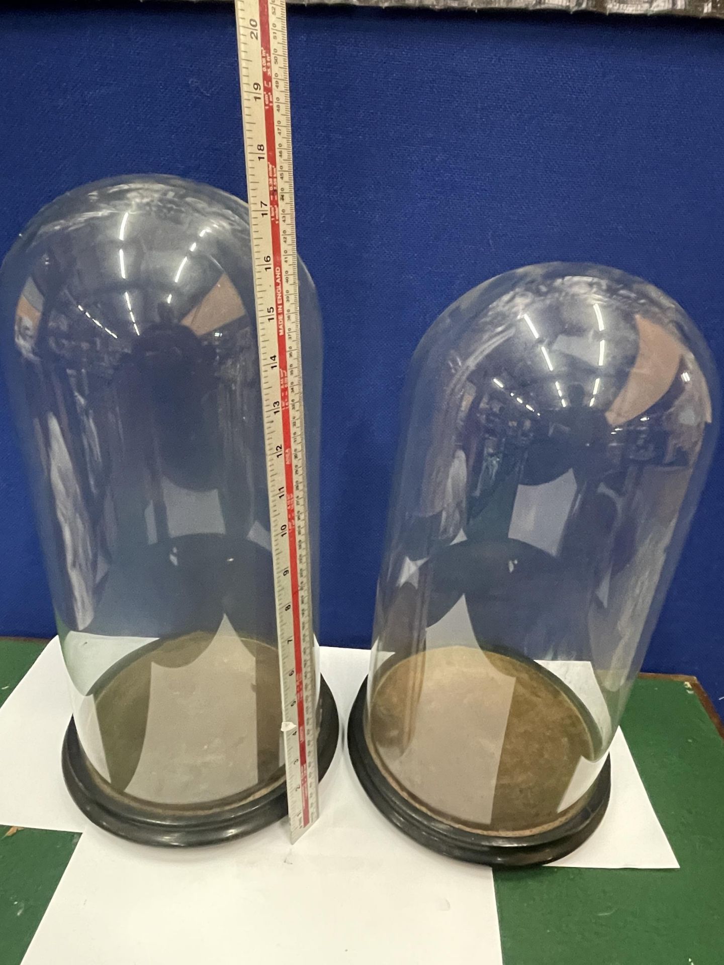 TWO TALL GLASS DOMES ON WOODEN BASES - 41CM AND 44 CM APPROX. - Image 4 of 4