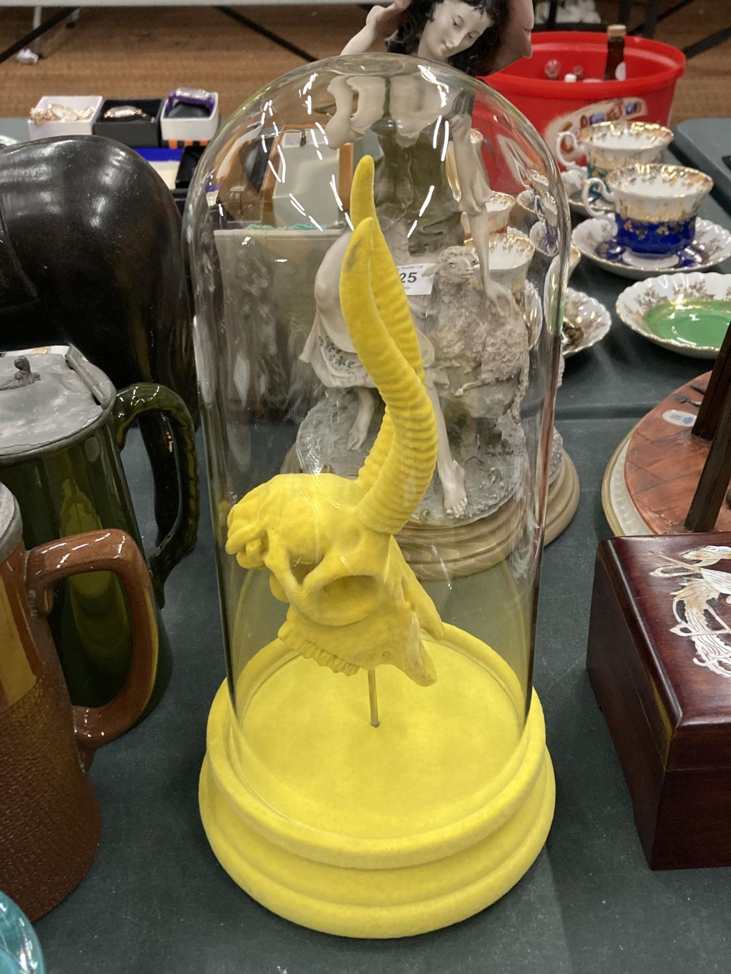 A YELLOW ANIMAL SKULL IN A GLASS DOME - Image 3 of 4