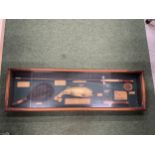 A VINTAGE RAINBOW TROUT FLY FISHING DISPLAY CASE