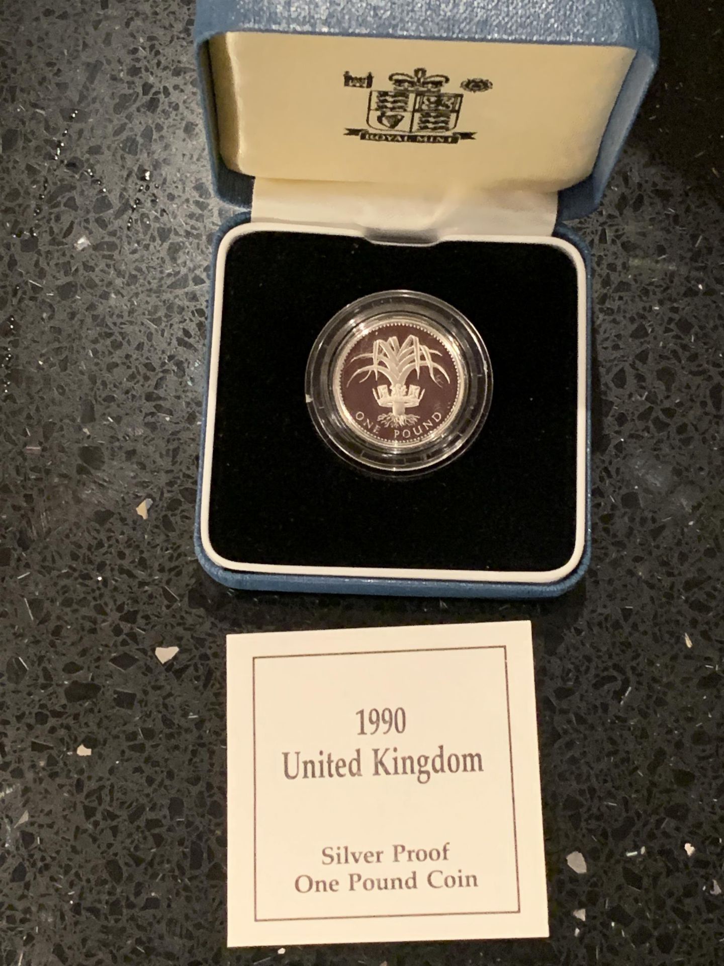 UK , CASED 1990 , ROYAL MINT , “LEEK IN CROWN” , SILVER PROOF ONE POUND COIN , ENCAPSULATED , WITH