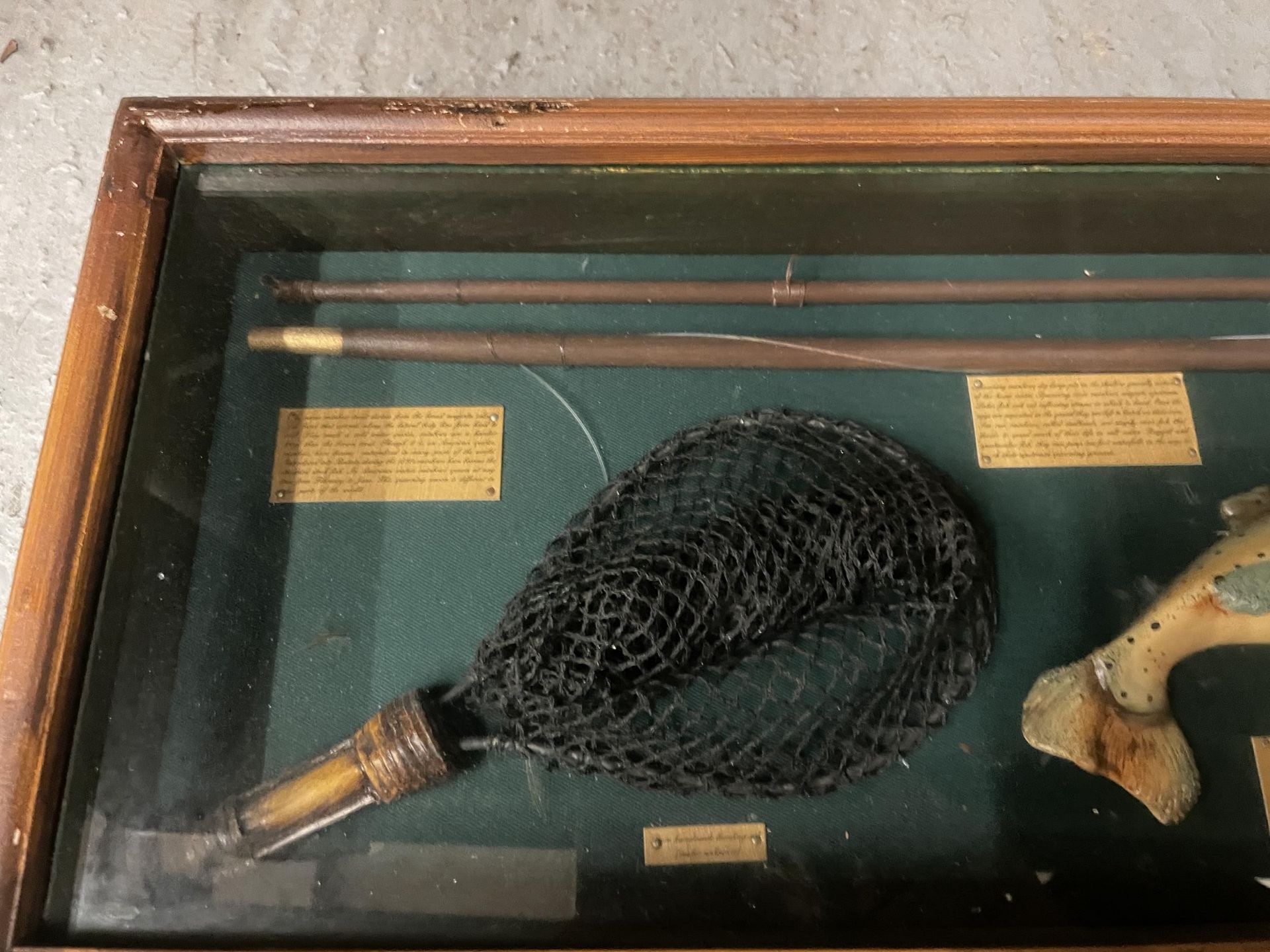 A VINTAGE RAINBOW TROUT FLY FISHING DISPLAY CASE - Image 2 of 4