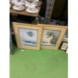 A PAIR OF MODERN FRAMED STILL LIFE PRINTS