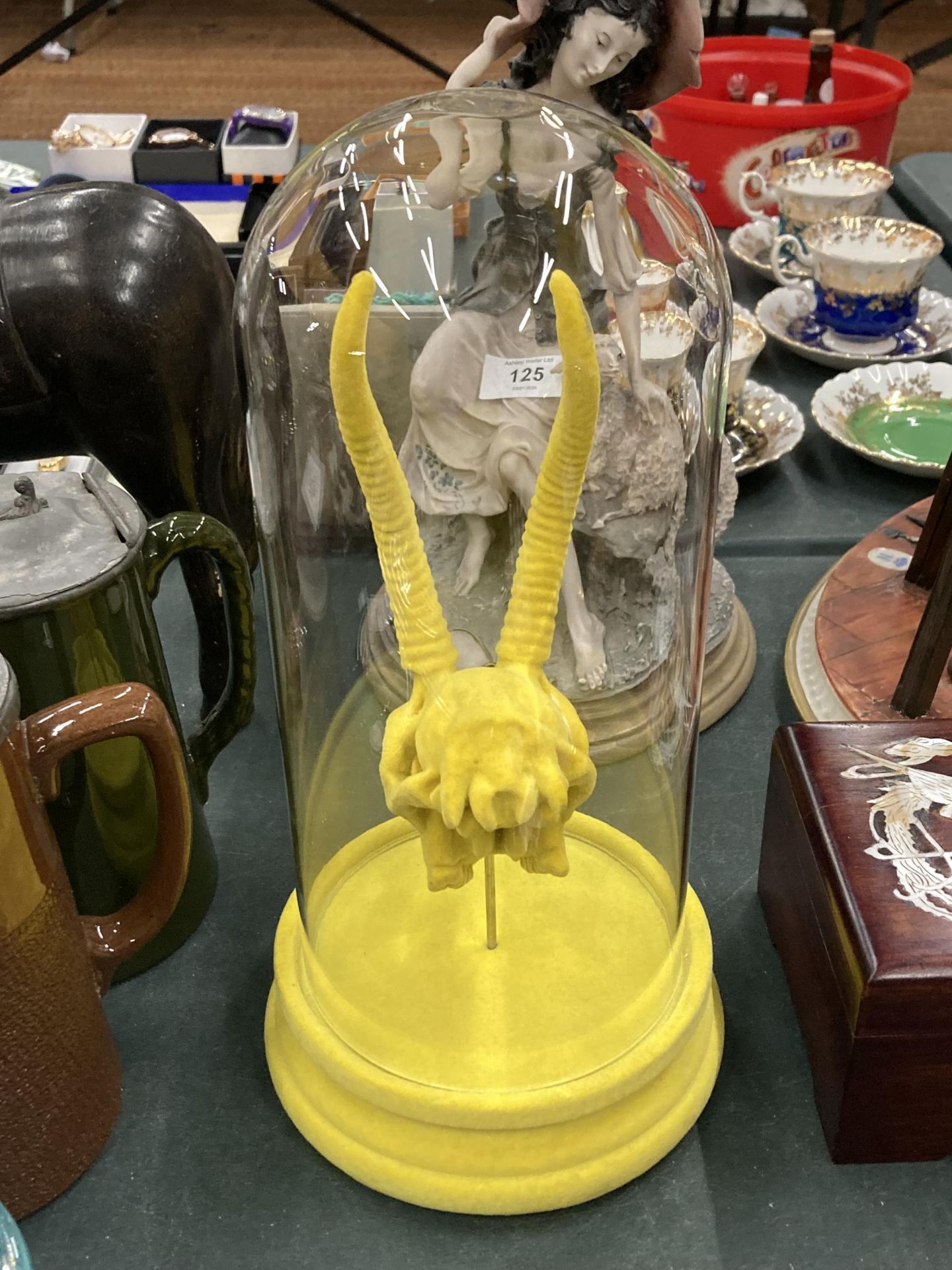 A YELLOW ANIMAL SKULL IN A GLASS DOME - Image 4 of 4