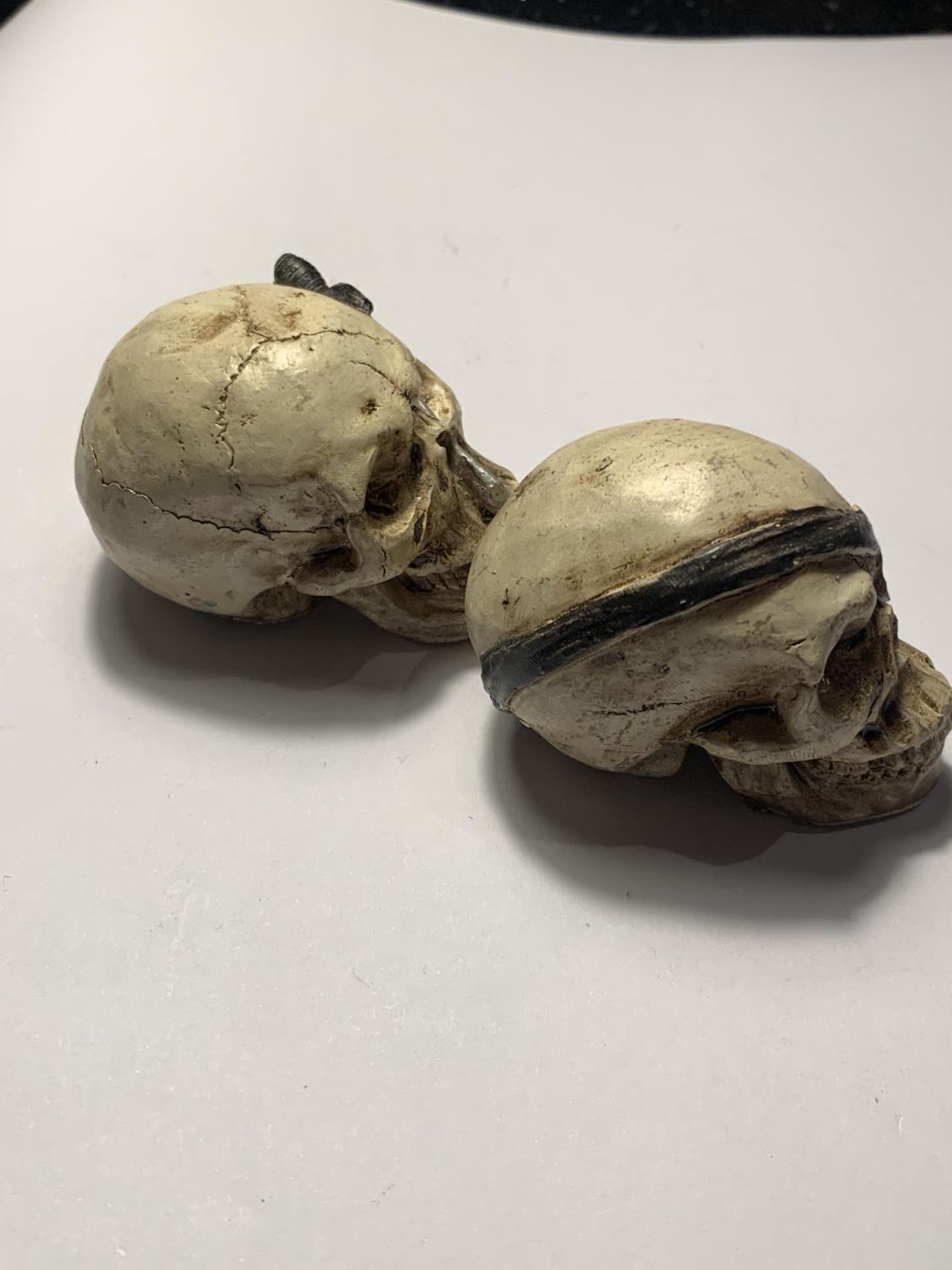 TWO PIRATE SKULLS - Image 2 of 4