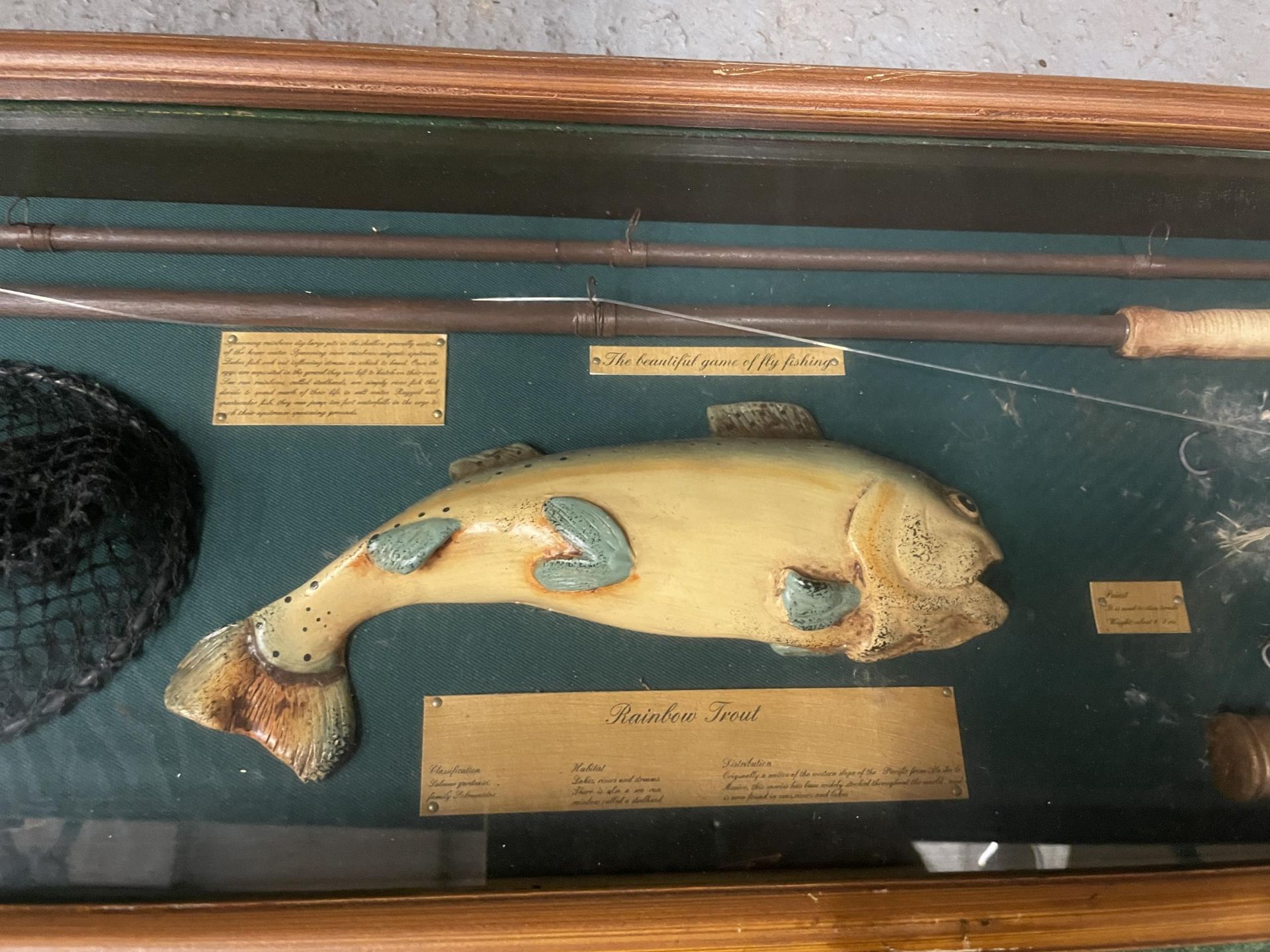 A VINTAGE RAINBOW TROUT FLY FISHING DISPLAY CASE - Image 3 of 4