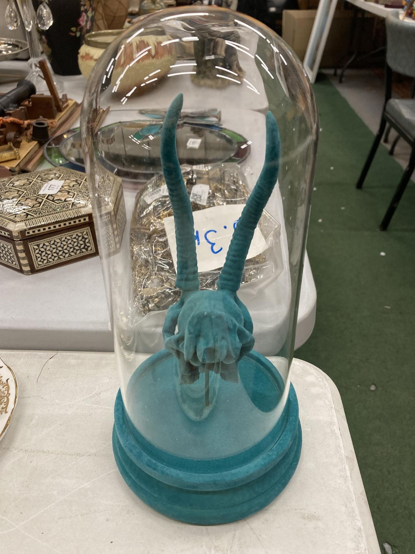 A TURQUOISE ANIMAL SKULL IN A GLASS DOME - Image 4 of 4