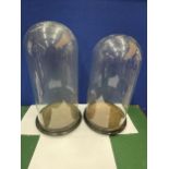 TWO TALL GLASS DOMES ON WOODEN BASES - 41CM AND 44 CM APPROX.