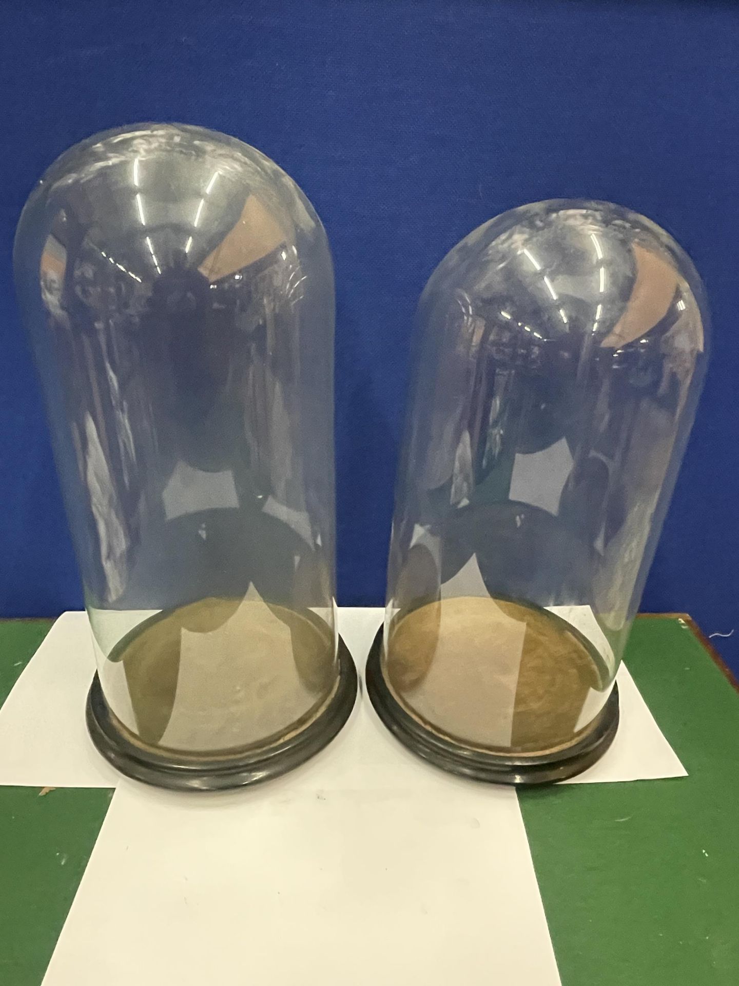 TWO TALL GLASS DOMES ON WOODEN BASES - 41CM AND 44 CM APPROX.