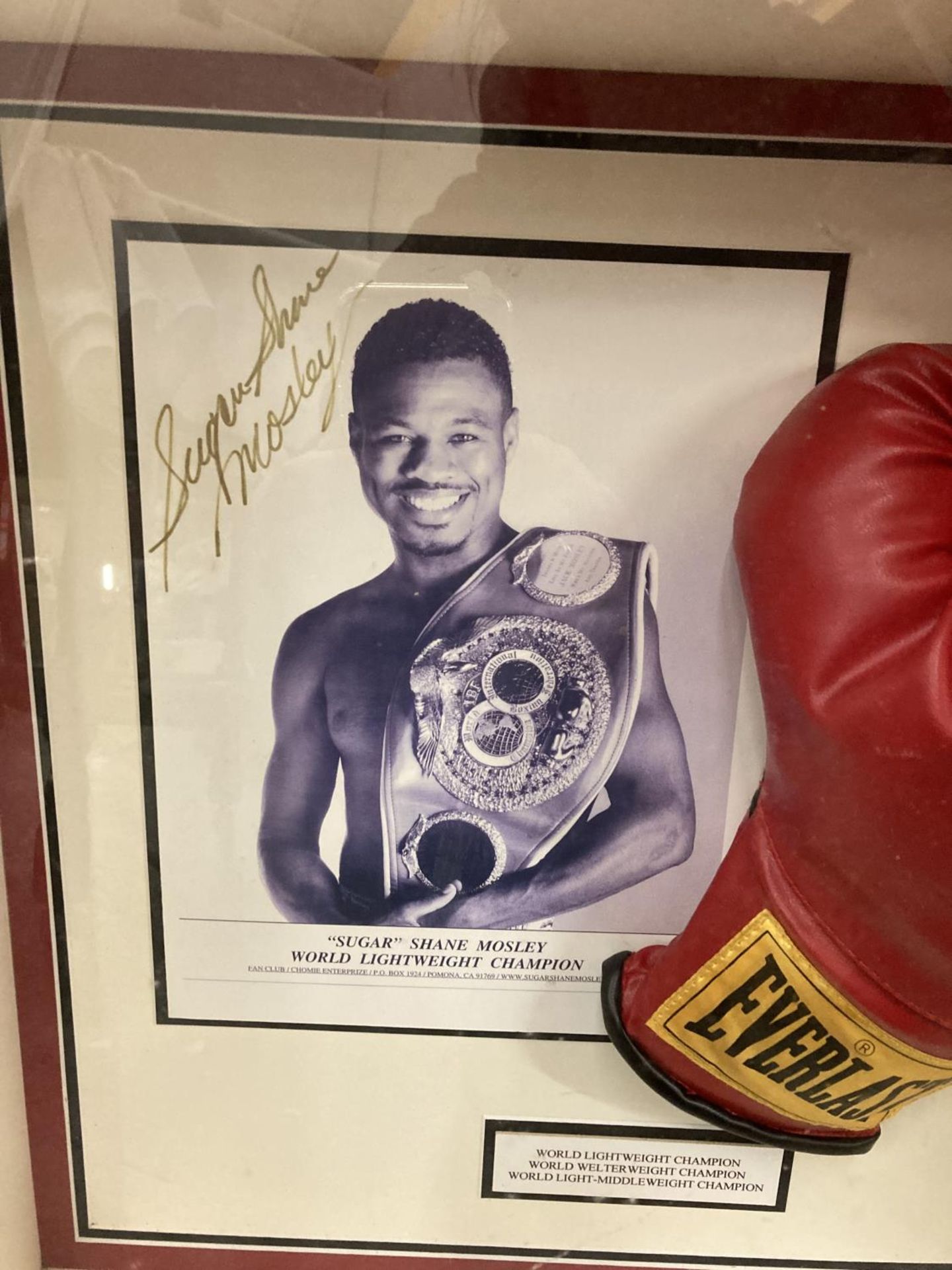 A FRAMED & SIGNED SUGAR SHANE MOSLEY BOXING GLOVE & PHOTOGRAPH - Image 2 of 4