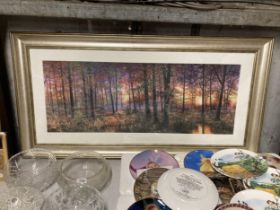 A DORMA GOLDEN COPPICE DAWN FRAMED PRINT