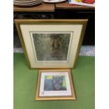 TWO FRAMED LIMITED EDITION PRINTS SIGNED BY THE ARTIST TO INCLUDE "BLACK BEAUTY" PANTHER AND AN