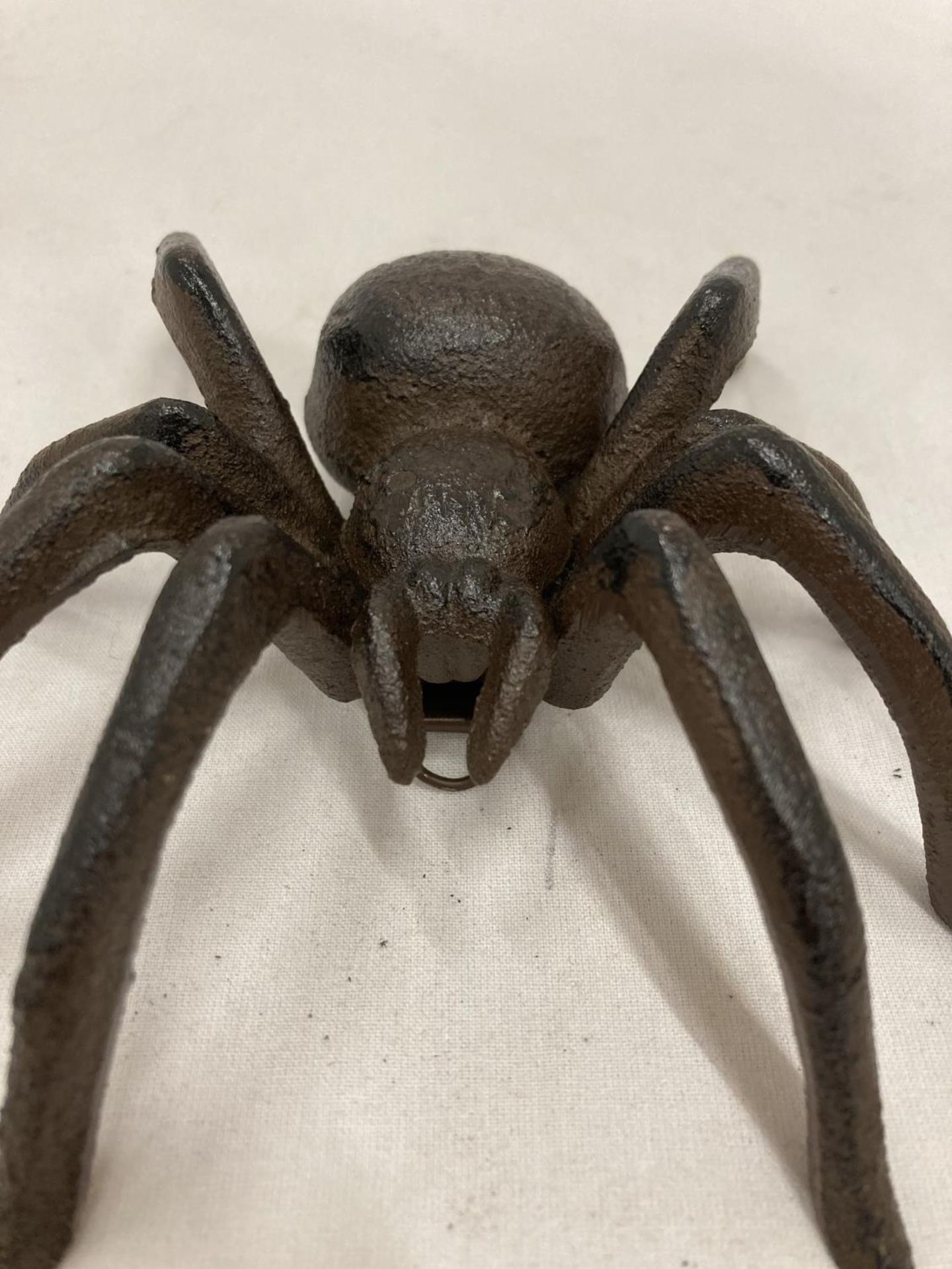 A CAST METAL MODEL OF A SPIDER - Image 2 of 5