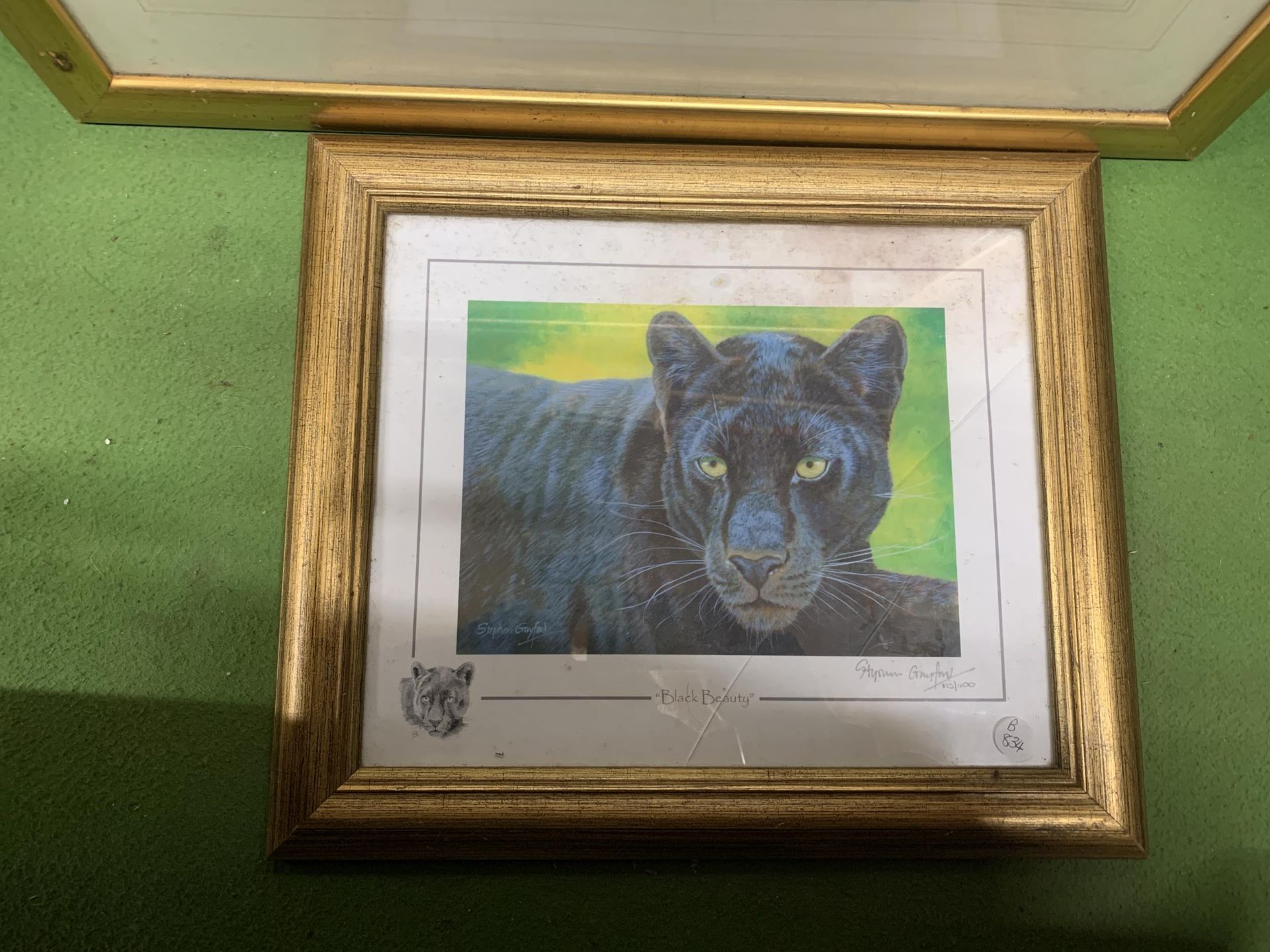 TWO FRAMED LIMITED EDITION PRINTS SIGNED BY THE ARTIST TO INCLUDE "BLACK BEAUTY" PANTHER AND AN - Image 5 of 7