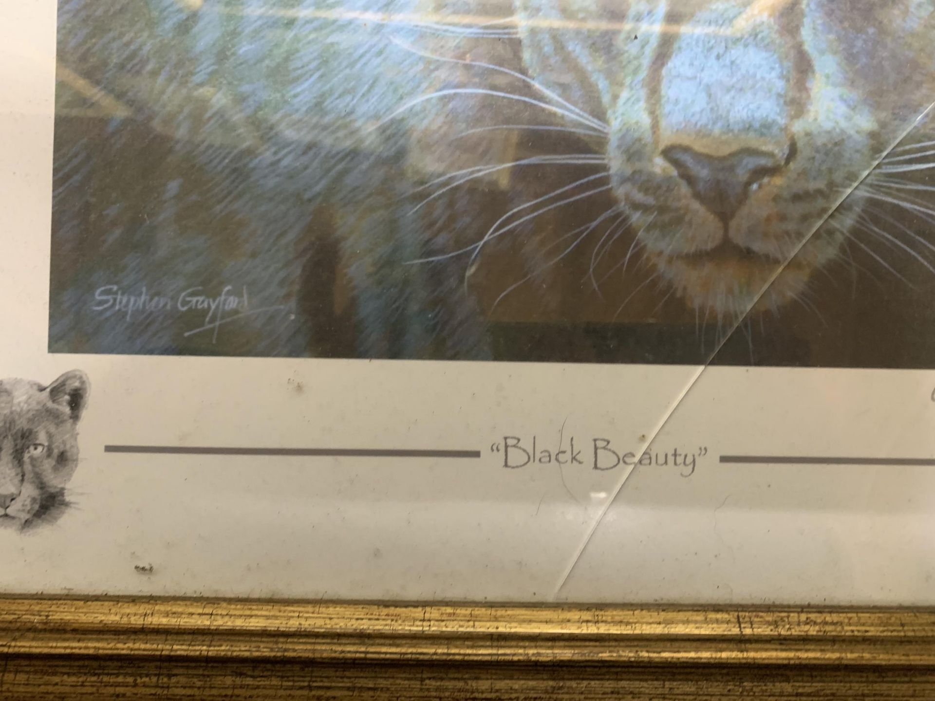 TWO FRAMED LIMITED EDITION PRINTS SIGNED BY THE ARTIST TO INCLUDE "BLACK BEAUTY" PANTHER AND AN - Image 6 of 7