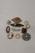 A QUANTITY OF COSTUME JEWELLERY BROOCHES