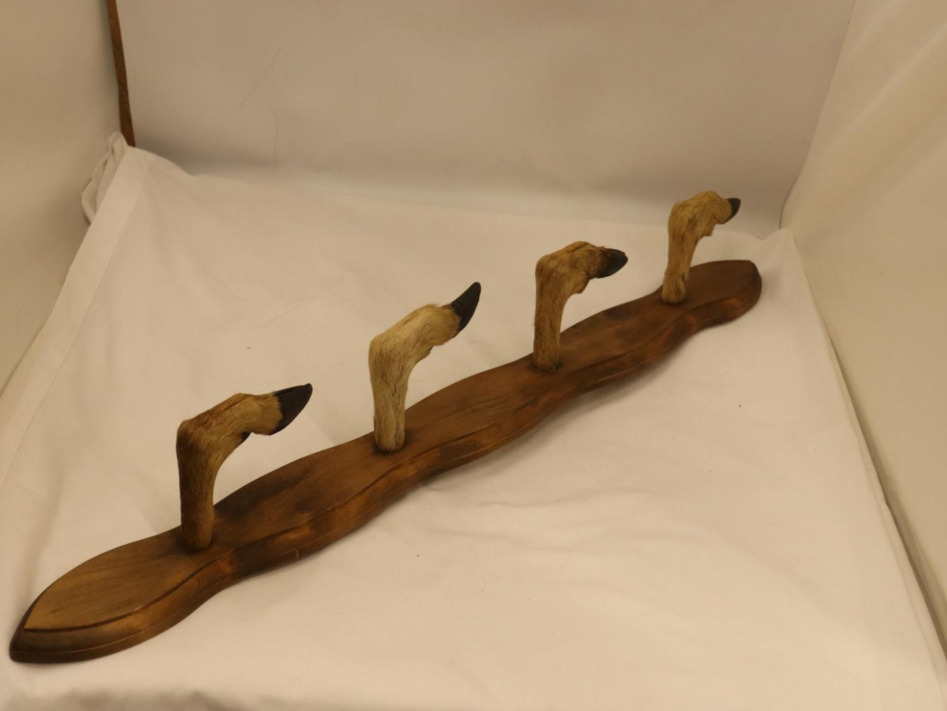 A WALL MOUNTED FOUR 'HOOFED' COAT RACK - Image 2 of 4