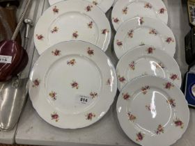 A QUANTITY OF SHELLEY CHINA PLATES WITH A DELICATE FLORAL PATTERN - 12 IN TOTAL