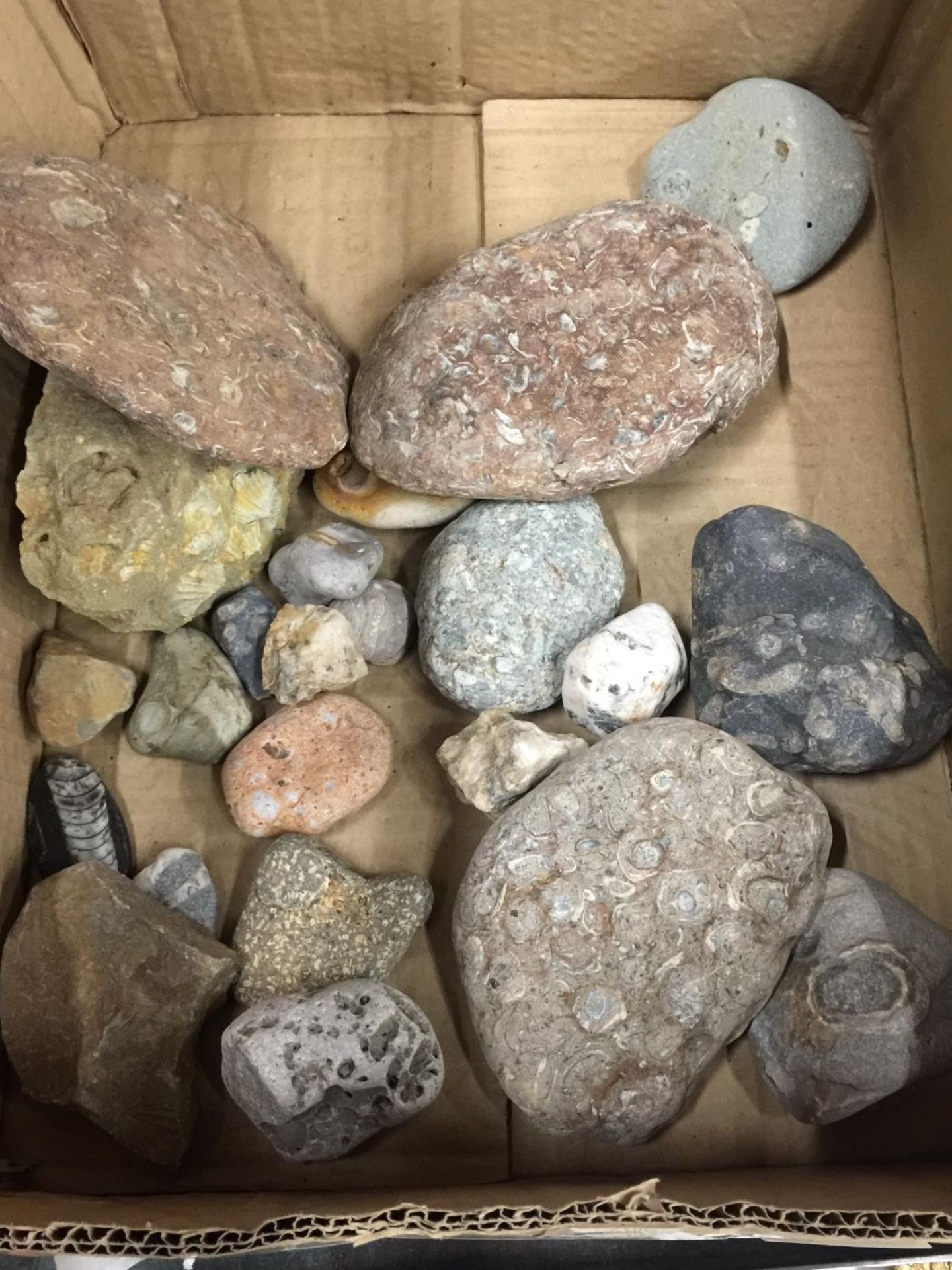 A BOX OF ASSORTED GEMOLOGICAL STONES ETC