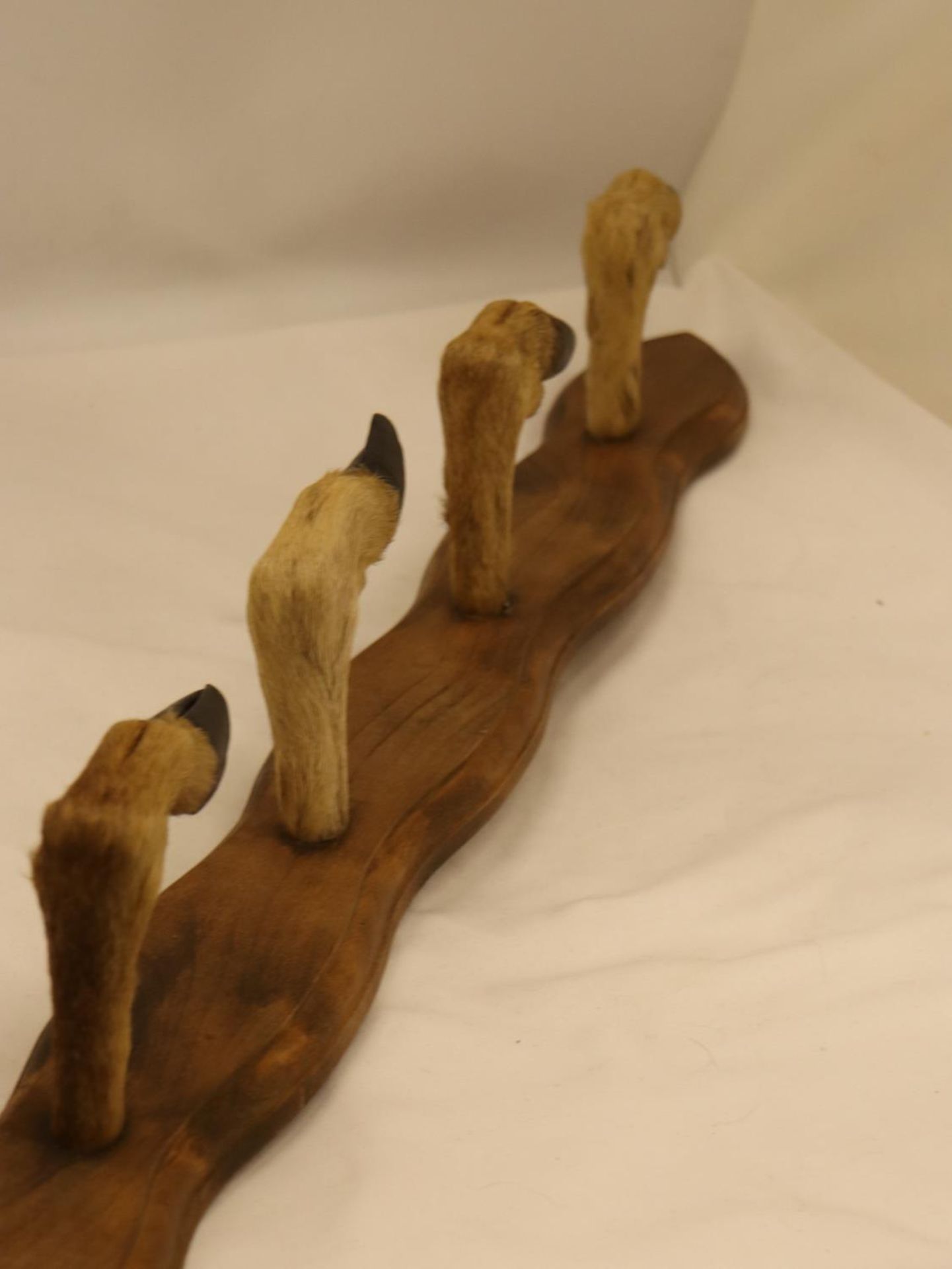 A WALL MOUNTED FOUR 'HOOFED' COAT RACK - Image 3 of 4
