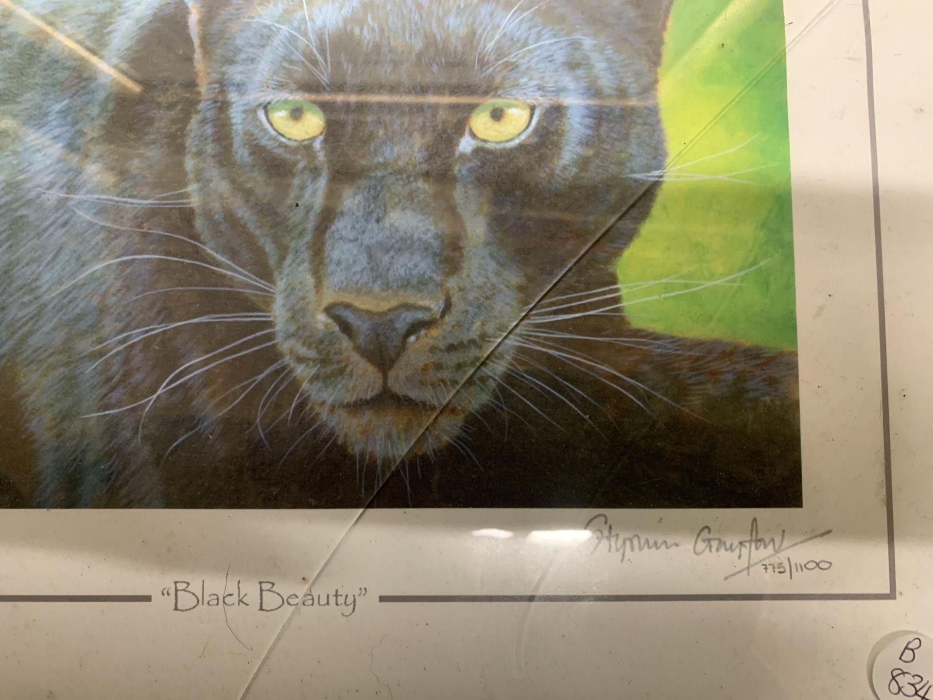 TWO FRAMED LIMITED EDITION PRINTS SIGNED BY THE ARTIST TO INCLUDE "BLACK BEAUTY" PANTHER AND AN - Image 7 of 7